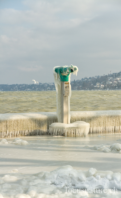Lac Leman 9720.jpg - Lac léman sous la glace (Genève, Suisse, février 2012)